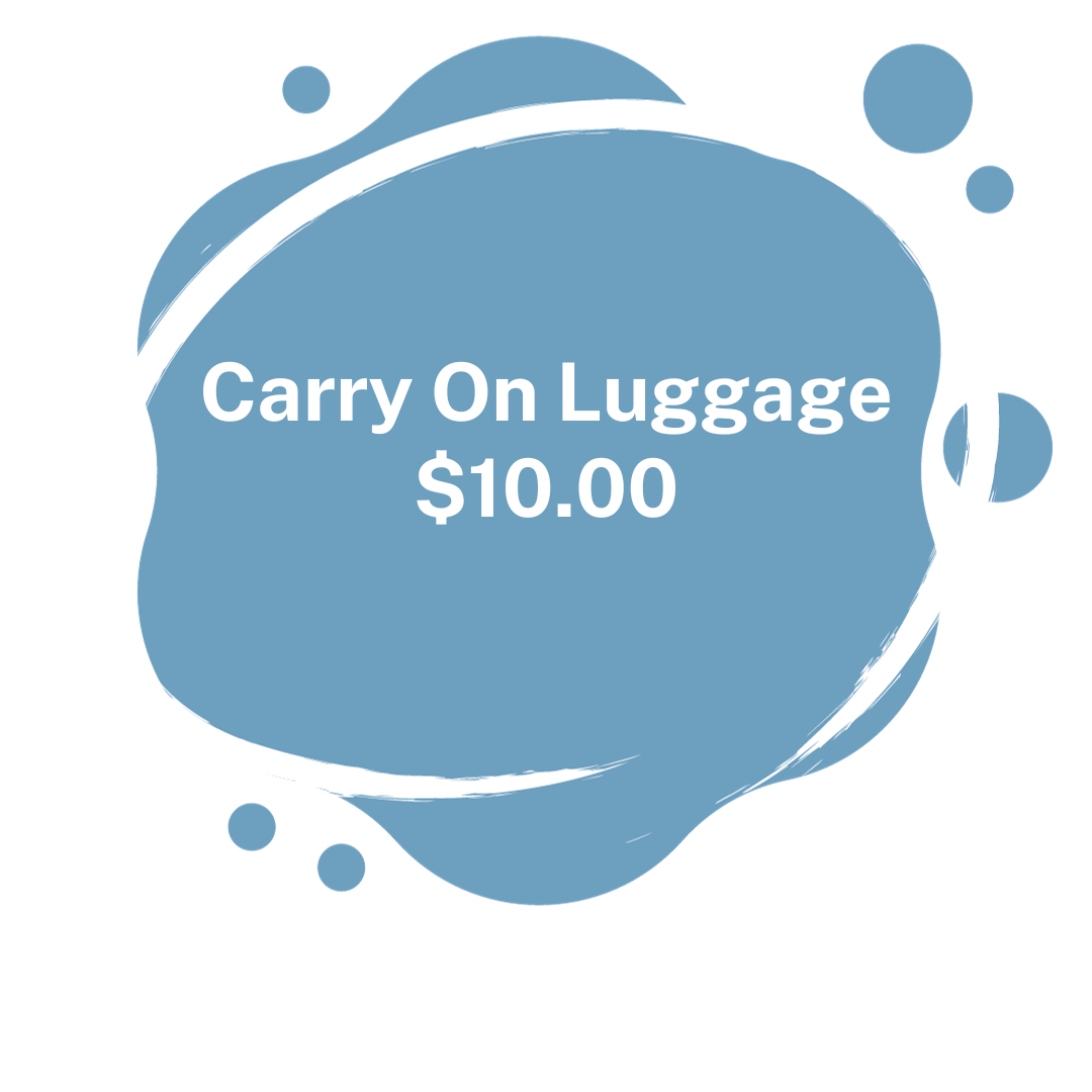 Walk In Service Park City Mobile Luggage Valet Service